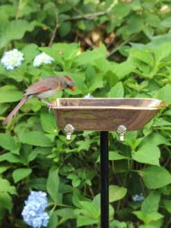 Copper Bathtub Birdbath -Garden Supplies Sales 2024 8612202 03v