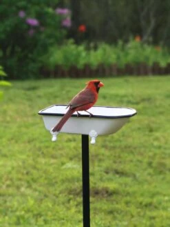 White Enamel Bathtub Birdbath