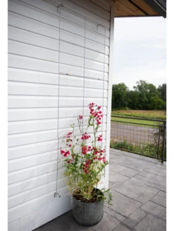 Chicken Wire Wall Trellis -Garden Supplies Sales 2024 8612717 0081