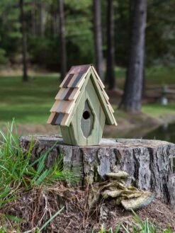 Vintage Wren Bird House -Garden Supplies Sales 2024 8612783 02v
