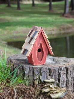 Vintage Wren Bird House -Garden Supplies Sales 2024 8612783 03v