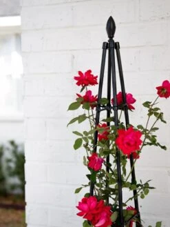 Teardrop Teepee Trellis, 47.25" 7 Teardrop Teepee Trellis, 47.25" -Garden Supplies Sales 2024 8613154 0039