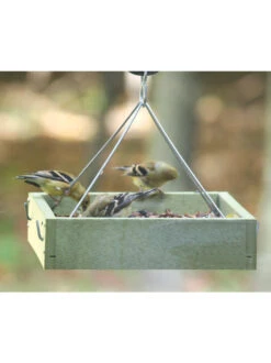 Birds Choice™ Tray Bird Feeder, Small -Garden Supplies Sales 2024 8613221 03v