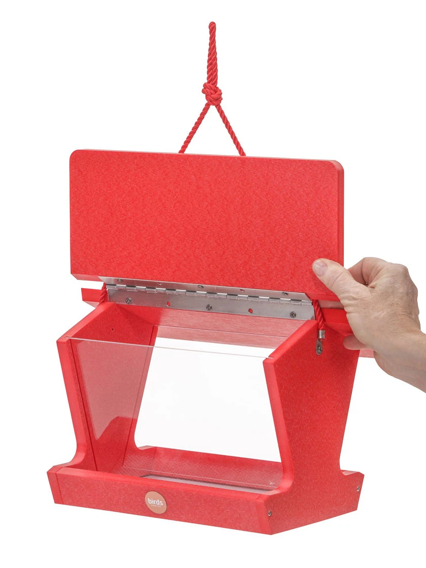 Color Pop Hopper Bird Feeder 2 Color Pop Hopper Bird Feeder - Image 2