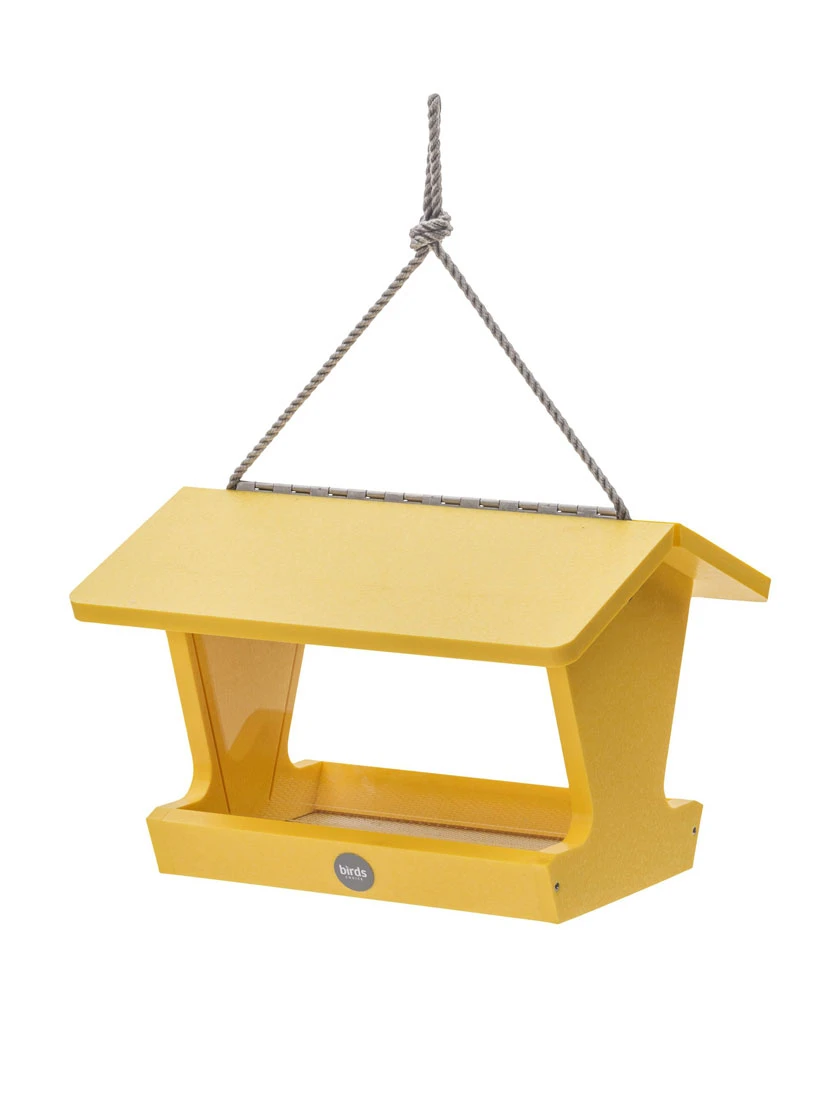 Color Pop Hopper Bird Feeder 1 Color Pop Hopper Bird Feeder