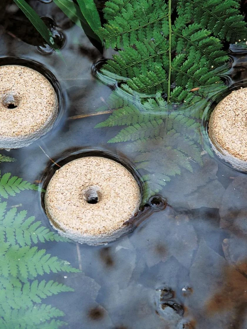 Mosquito Dunks 1 Mosquito Dunks