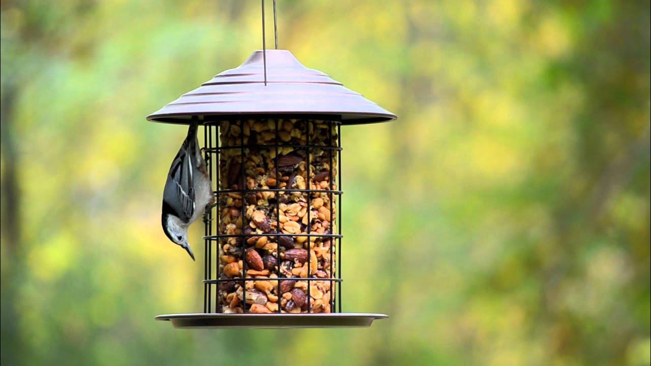 Gazebo Parts Direct Sales Store 51 Gazebo Parts Direct Sales Store -Garden Supplies Sales 2024 maxresdefault 2