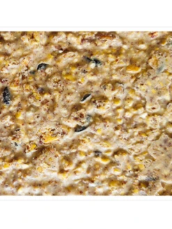 Peanut Apple Suet, 11.75 OZ, 12 Pack -Garden Supplies Sales 2024 webimage 8613690 04V